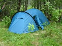 taffeta_190